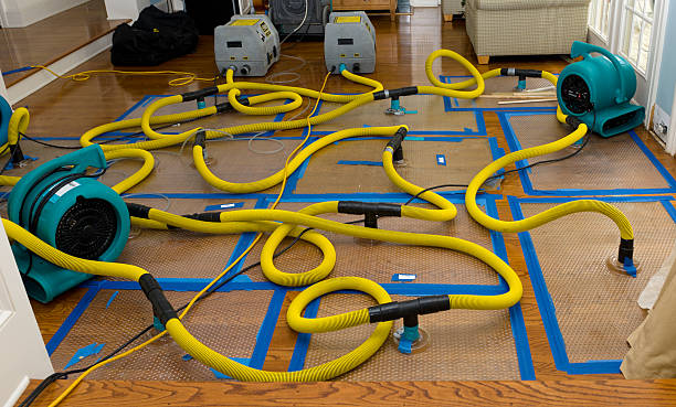 Professional Structural Drying And Dehumidification technician working in DeKalb, IL
